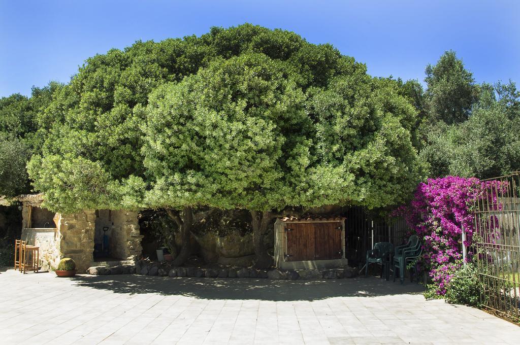 Agriturismo Il Paradiso อีเกลเซียส ภายนอก รูปภาพ