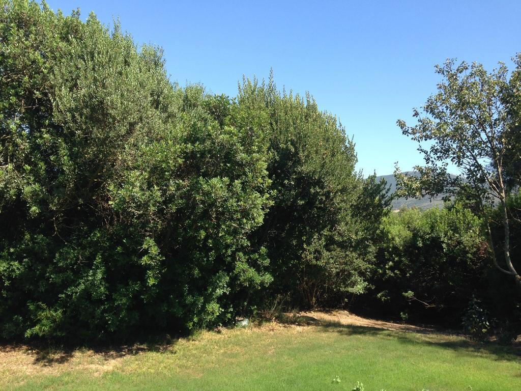 Agriturismo Il Paradiso อีเกลเซียส ภายนอก รูปภาพ