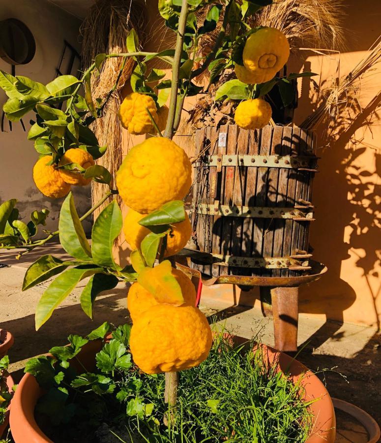 Agriturismo Il Paradiso อีเกลเซียส ภายนอก รูปภาพ